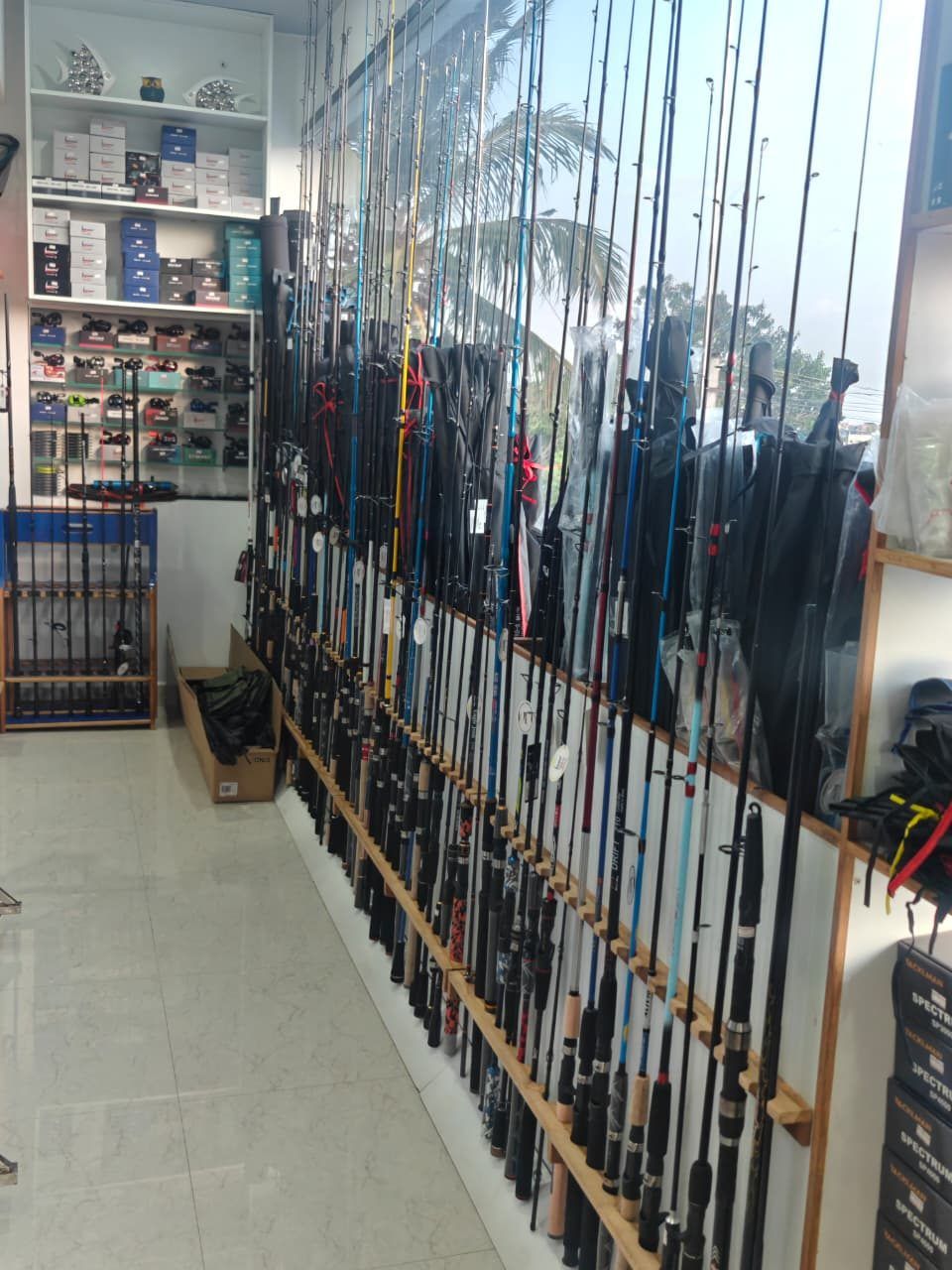 Rods racked along the shop wall looking towards the counter