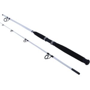 Berkley Big game Rod 11 ft and 12 ft