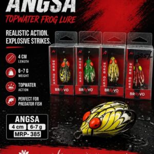 Bravvo Angsa