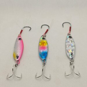Dragon jig 25 gm