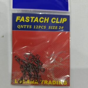 Fastach clip