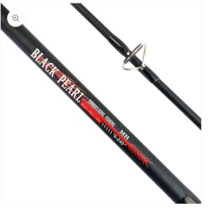 Fishers king Black Pearl Spinning rod
