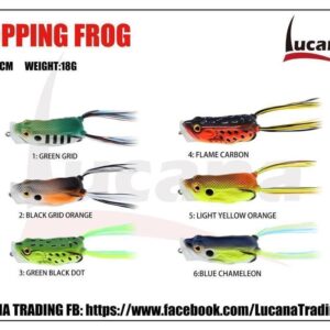 Lucana Popping Frog