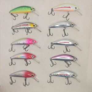 WaterBoy Sinking lure